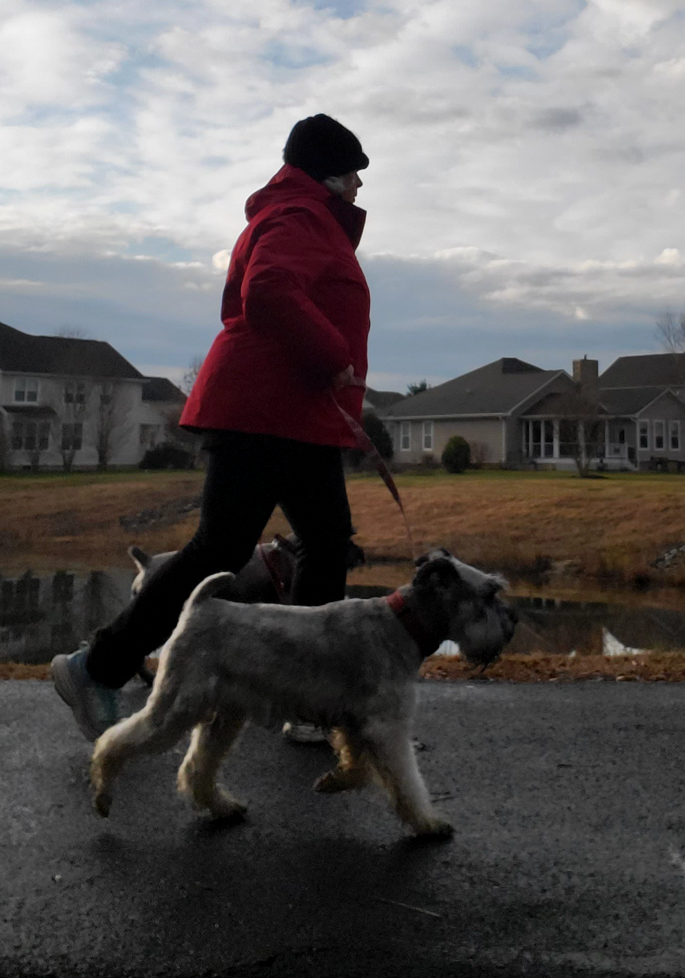 A person walking their dog on the street